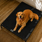Cama Elevada THE DOGS