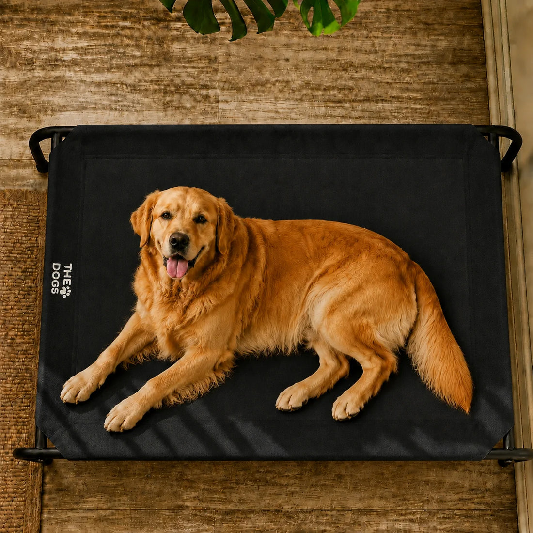 Cama Elevada THE DOGS