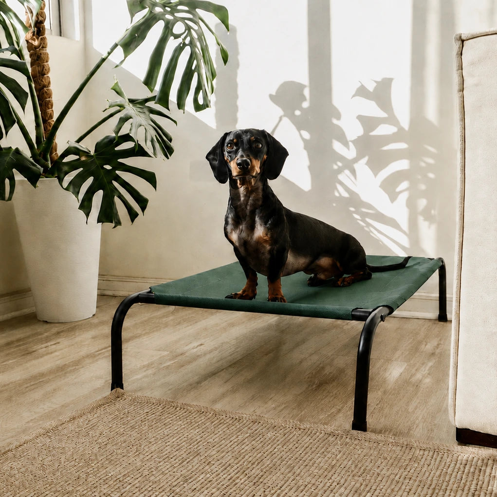 Cama Elevada THE DOGS