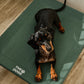 Cama Elevada THE DOGS