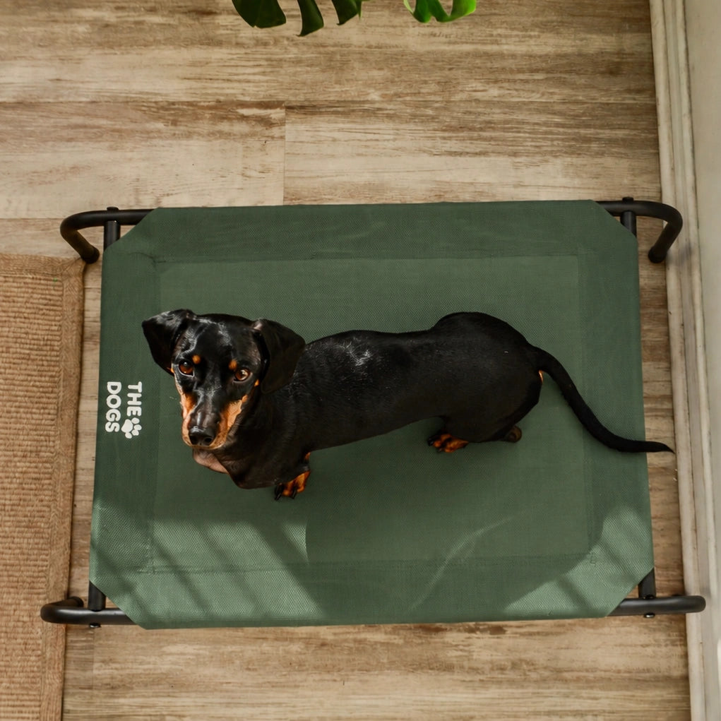 Cama Elevada THE DOGS