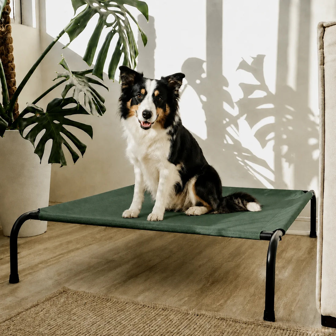 Cama Elevada THE DOGS