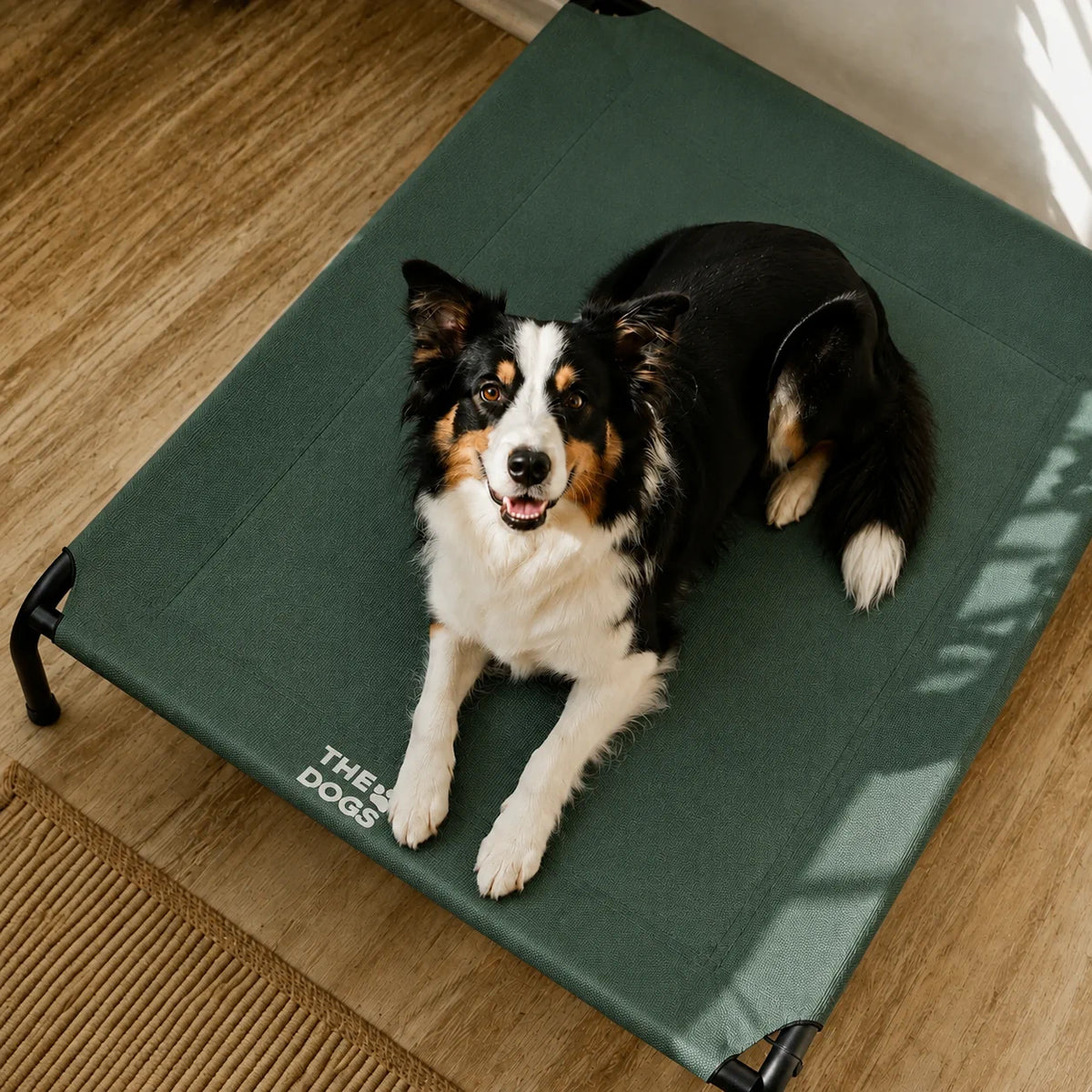 Cama Elevada THE DOGS