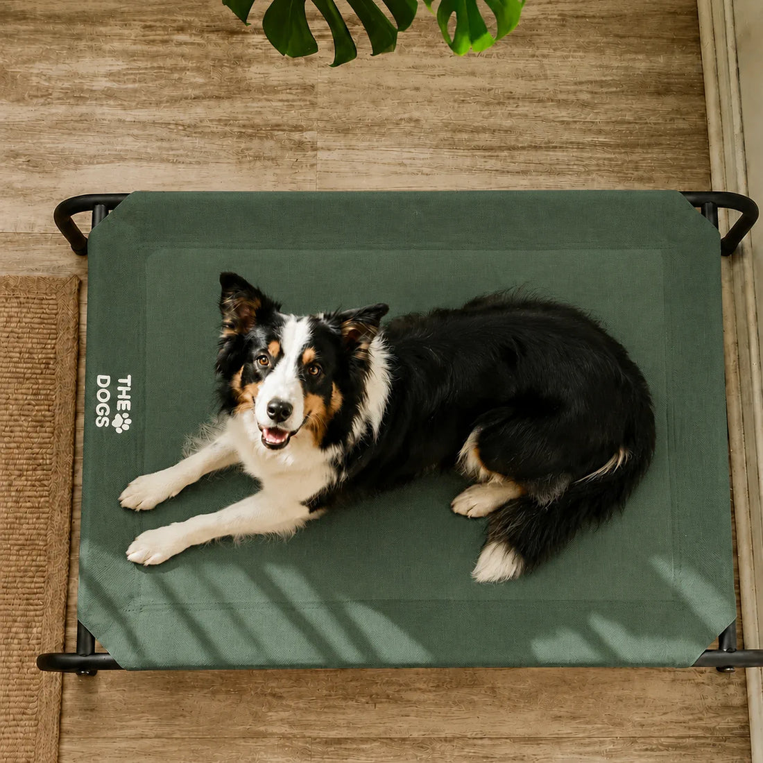 Cama Elevada THE DOGS