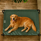 Cama Elevada THE DOGS
