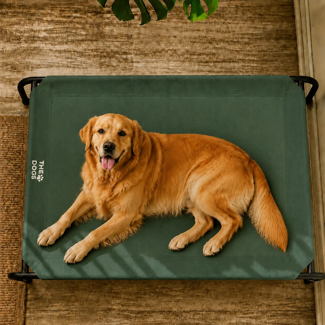 Cama Elevada THE DOGS