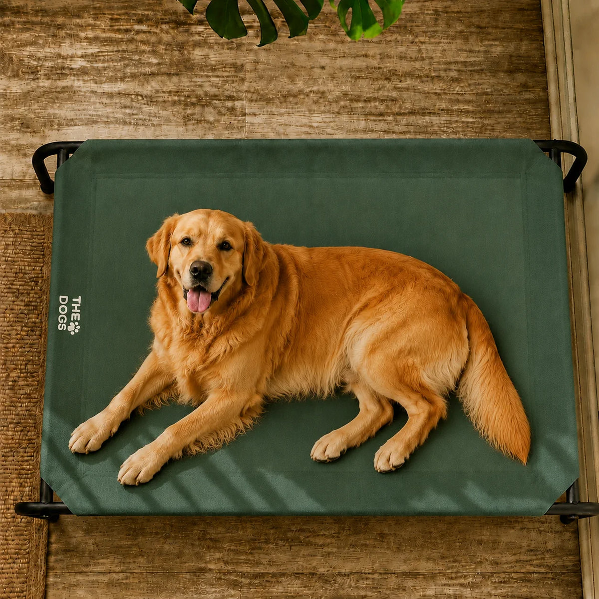 Cama Elevada THE DOGS