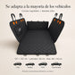 Funda + Cinturón Viajes Seguros