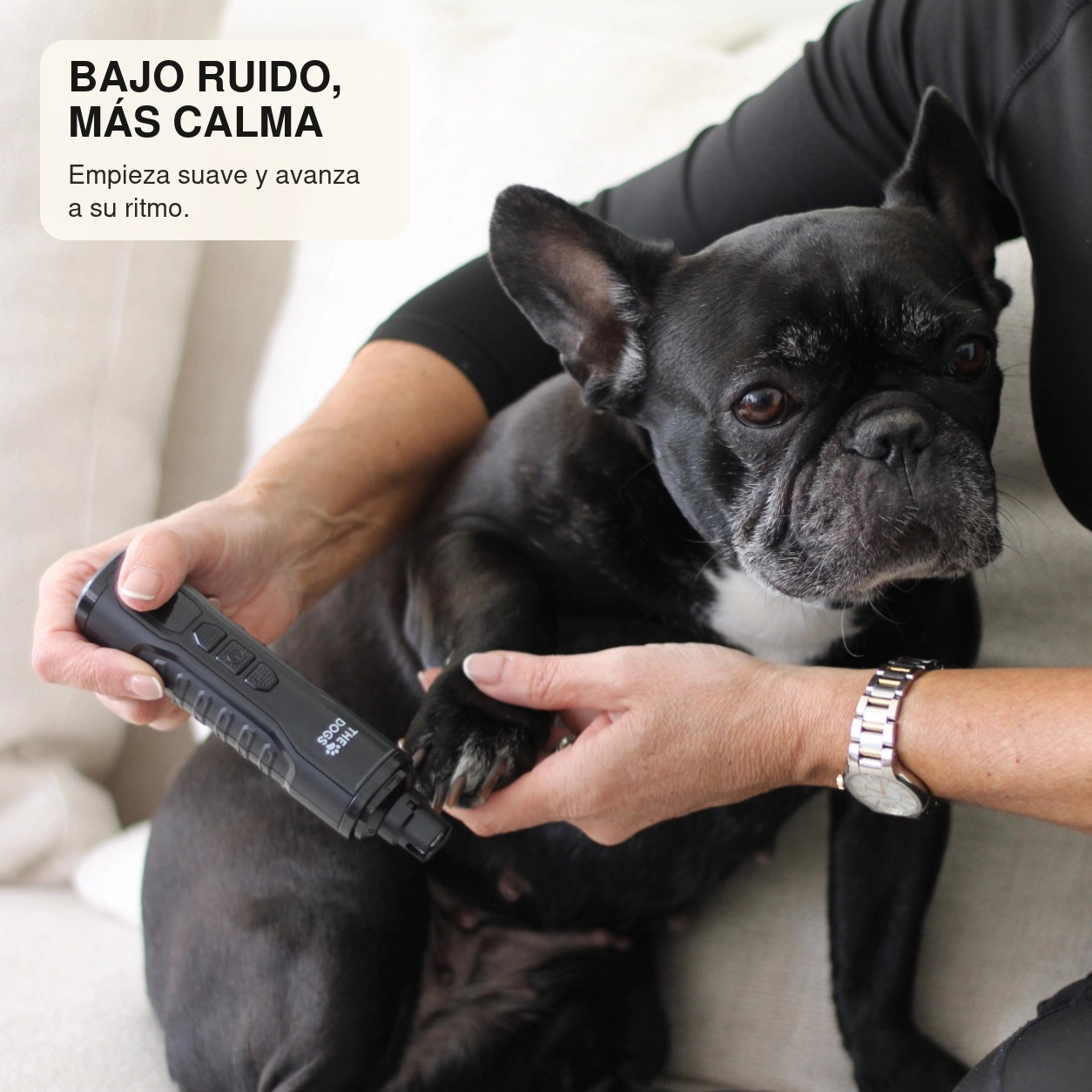 Bulldog francés durante el limado de uñas con THE DOGS NAILS de bajo ruido
