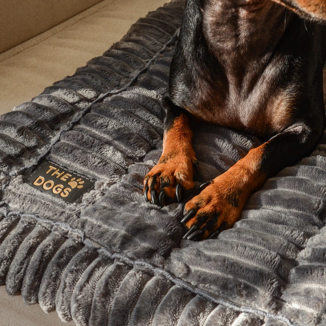 Majestuoso · Protector Premium para Sofá