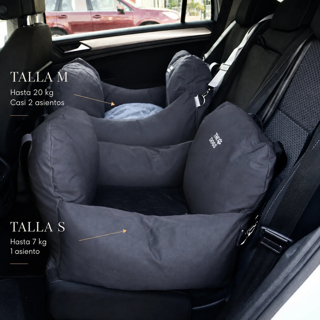 Asiento Primera Clase THE DOGS — Viajes seguros y cómodos
