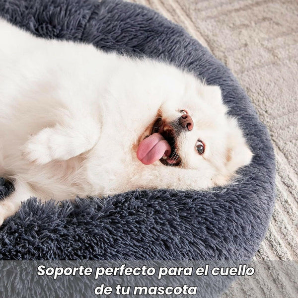 Cama para perros