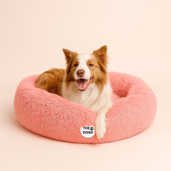 Cama Anti-Estrés THE DOGS — Menos ansiedad, más descanso