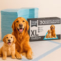 Sabanillas XL Ultra Absorbentes con Lavanda