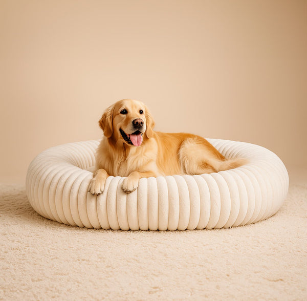 Luxury Edition: Cama Anti-Estrés THE DOGS