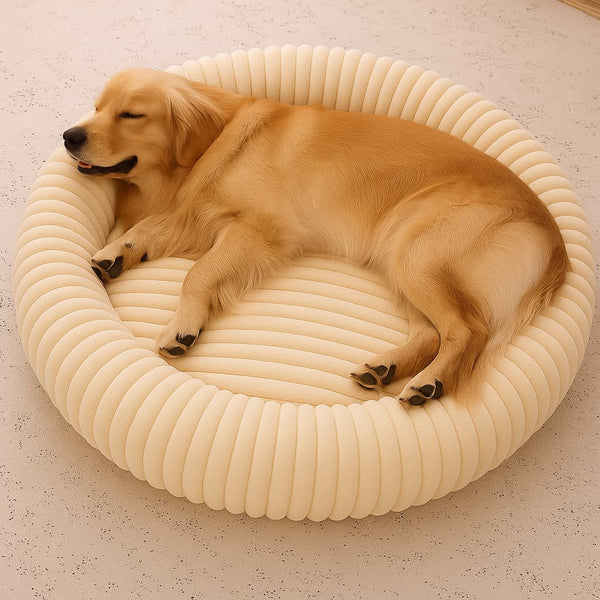 Luxury Edition: Cama Anti-Estrés THE DOGS