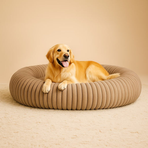 Luxury Edition: Cama Anti-Estrés THE DOGS