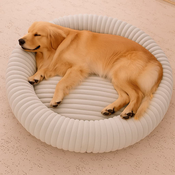 Luxury Edition: Cama Anti-Estrés THE DOGS