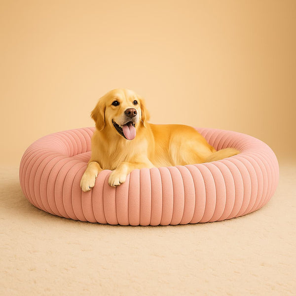 Luxury Edition: Cama Anti-Estrés THE DOGS