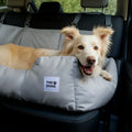 Asiento Primera Clase TheDogs - THE DOGS CHILE