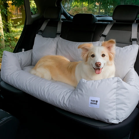 Asiento Primera Clase TheDogs - THE DOGS CHILE