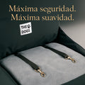 Asiento Primera Clase TheDogs - THE DOGS CHILE