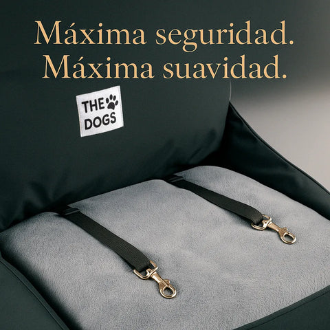 Asiento Primera Clase TheDogs - THE DOGS CHILE