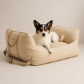 Asiento Primera Clase TheDogs - THE DOGS CHILE