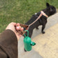 240 Bolsas para Fecas de Perro XL 23×33 cm + Dispensador – THE DOGS
