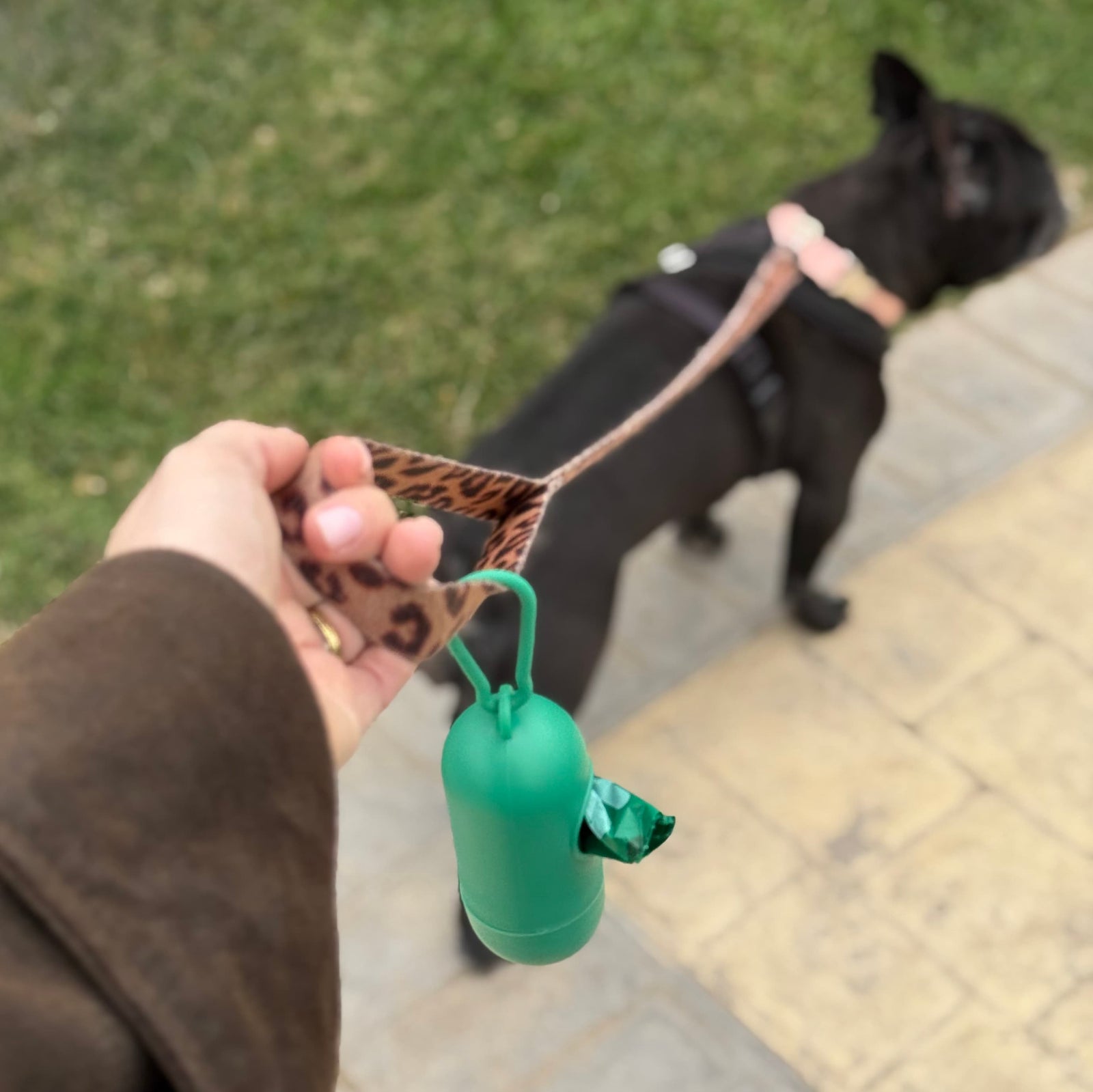 240 Bolsas para Fecas de Perro XL 23×33 cm + Dispensador – THE DOGS
