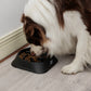 Bowl Anti-Ansiedad THE DOGS