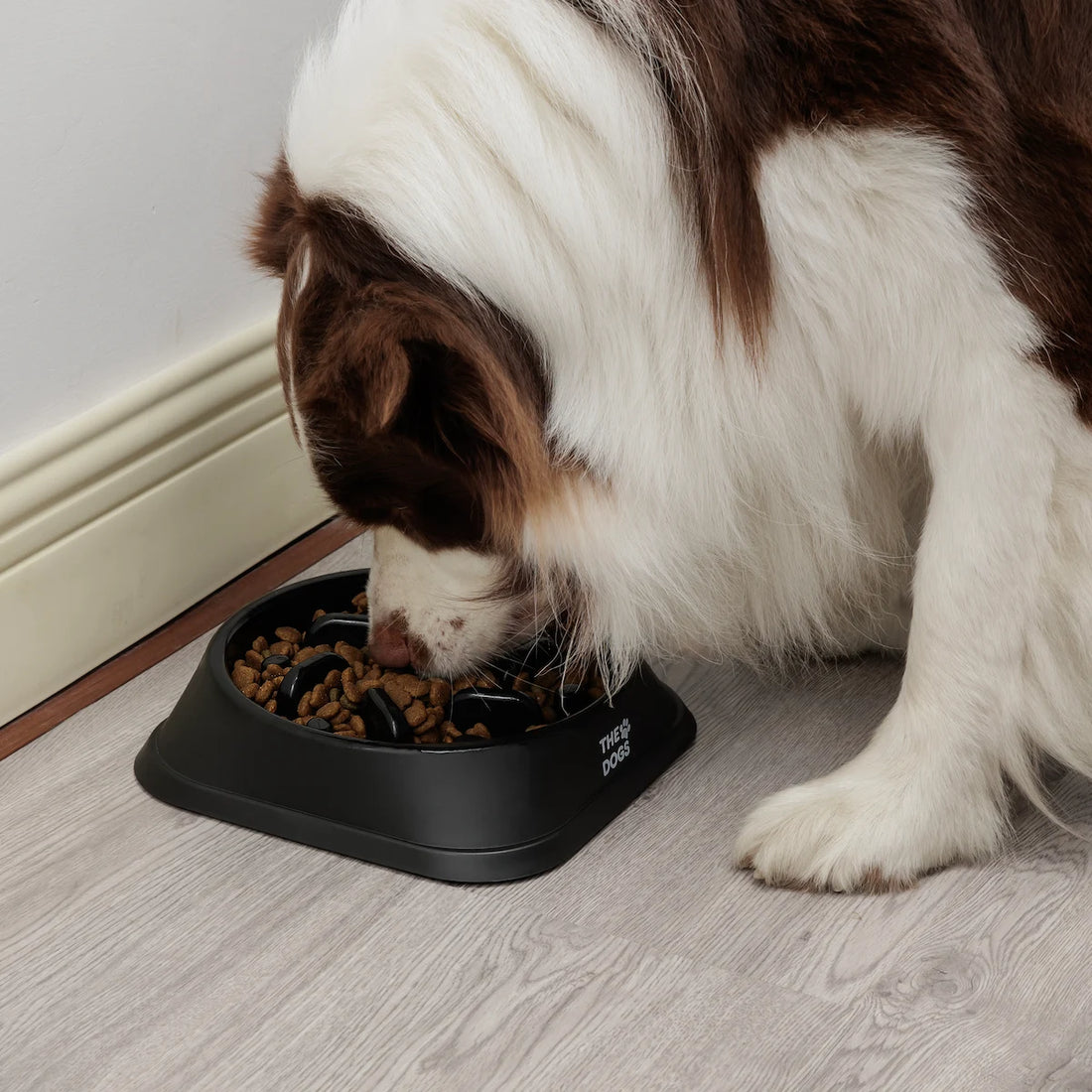 Bowl Anti-Ansiedad THE DOGS