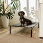 Cama Elevada THE DOGS