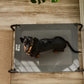 Cama Elevada THE DOGS