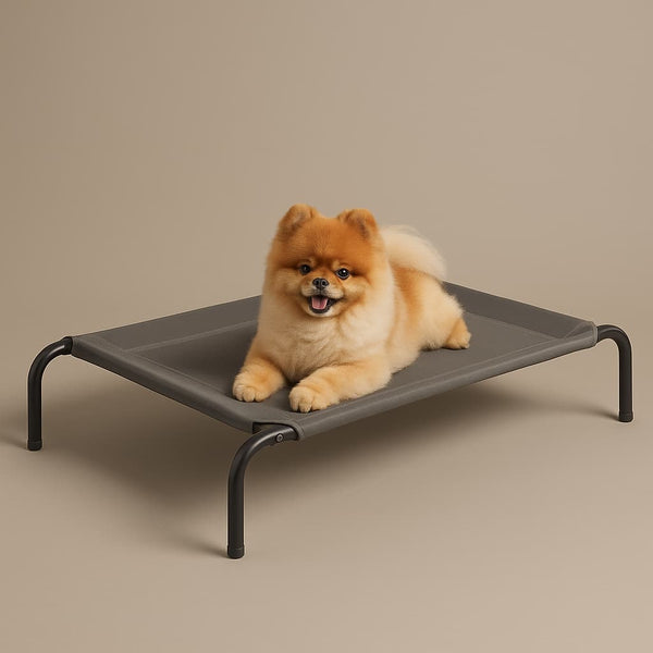 Cama Elevada THE DOGS: Frescura y Ventilación