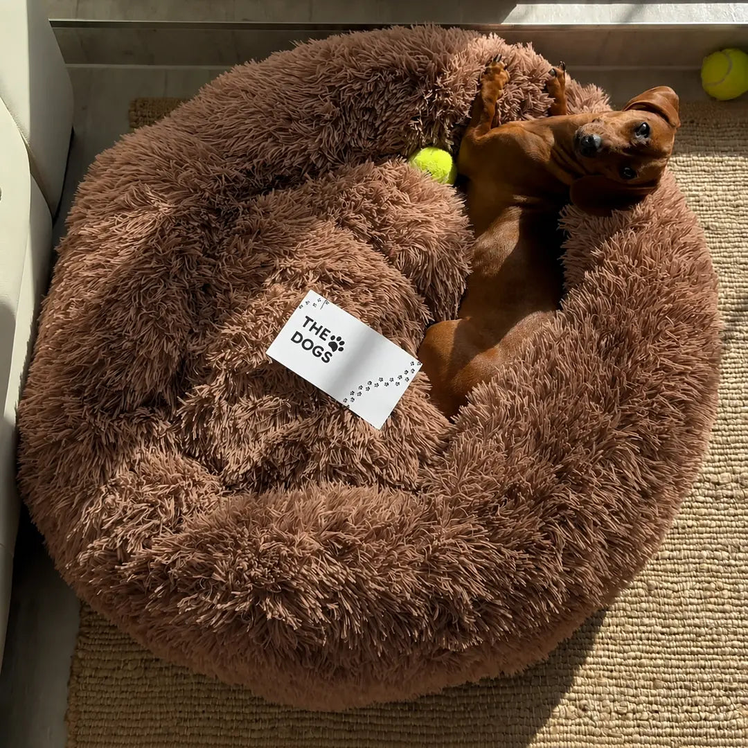 Cama Anti-Estrés THE DOGS — Menos ansiedad, más descanso