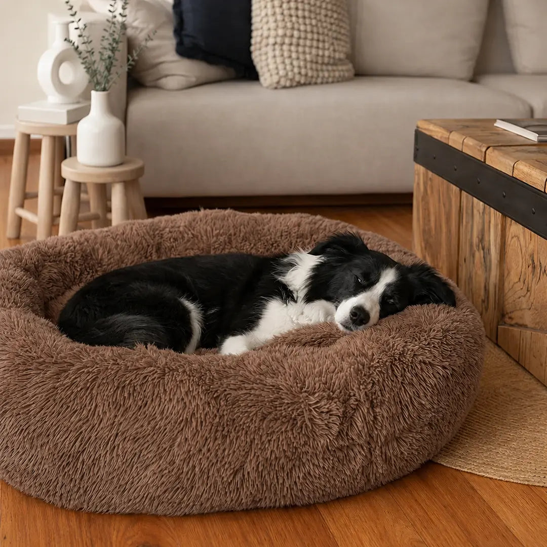 Cama Anti-Estrés THE DOGS — Menos ansiedad, más descanso