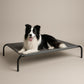 Cama Elevada THE DOGS: Frescura y Ventilación