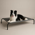 Cama Elevada THE DOGS: Frescura y Ventilación