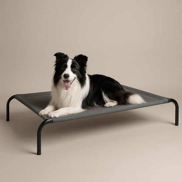 Cama Elevada THE DOGS: Frescura y Ventilación