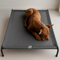 Cama Elevada THE DOGS: Frescura y Ventilación