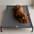 Cama Elevada THE DOGS: Frescura y Ventilación