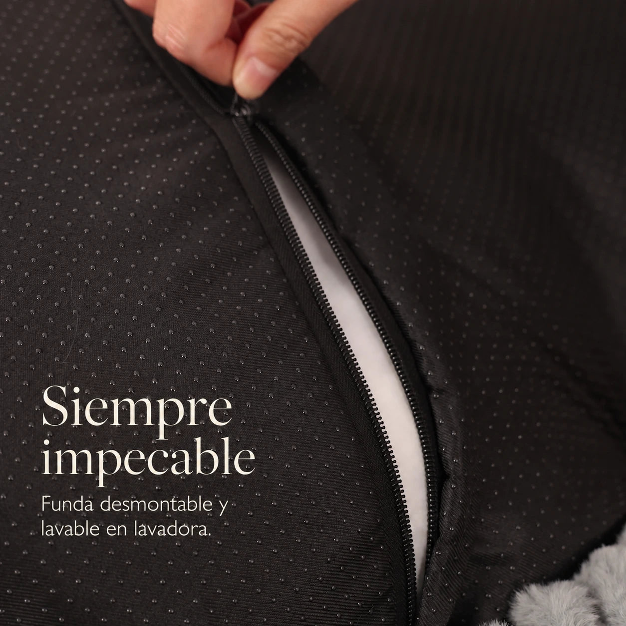 Luxury Edition: Cama Anti-Estrés THE DOGS
