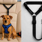 Kit auto limpio y perro seguro