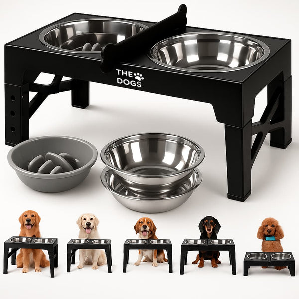 Comedero Elevado THE DOGS