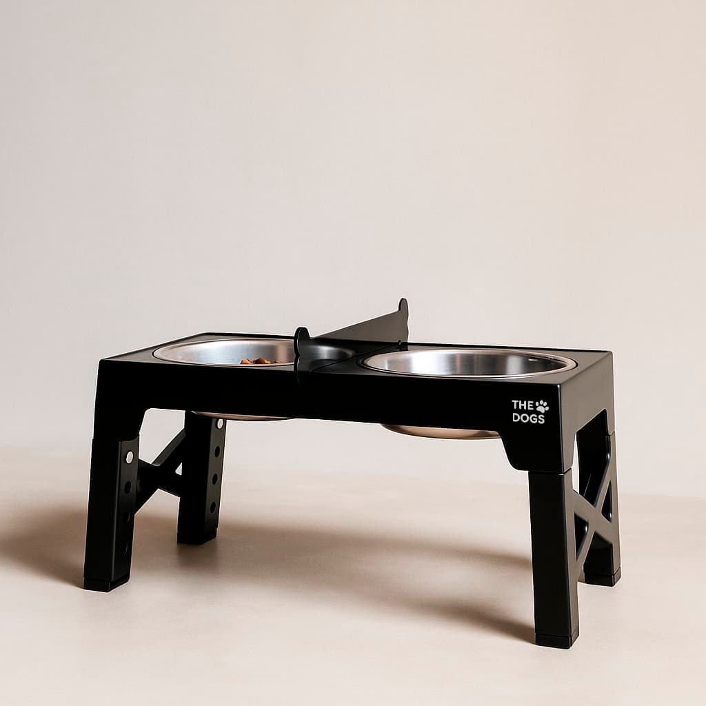 Comedero Elevado THE DOGS — Postura correcta, piso limpio