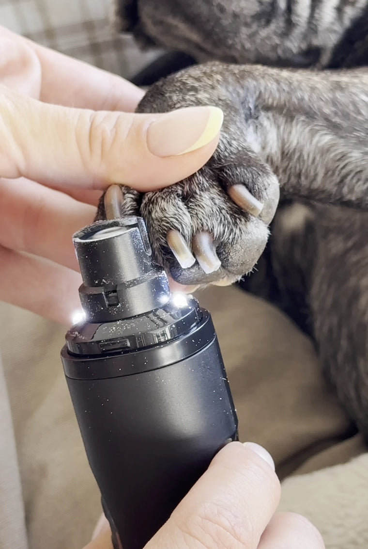 THE DOGS NAILS limando suavemente una uña de perro con su doble luz LED