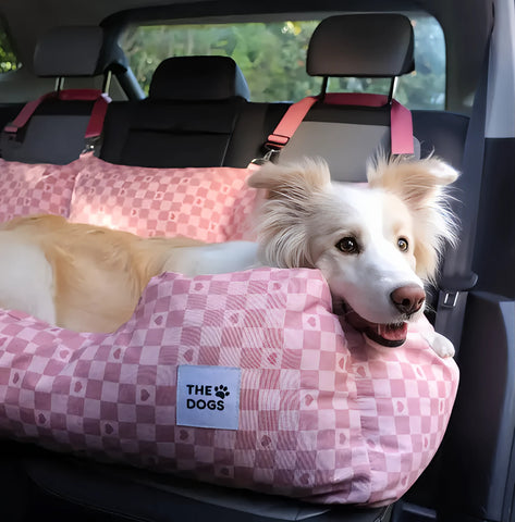 Asiento Primera Clase The Dogs