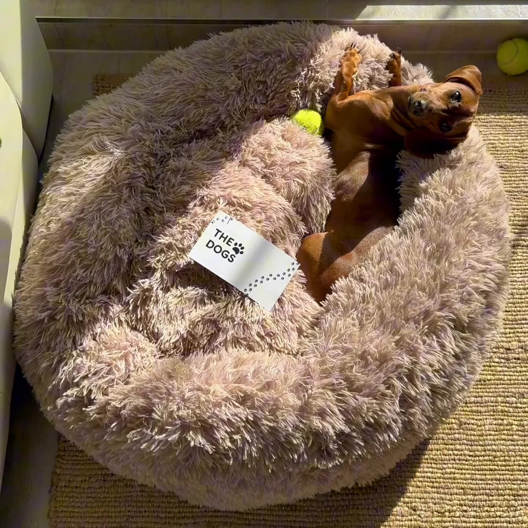 Cama Anti-Estrés THE DOGS — Menos ansiedad, más descanso