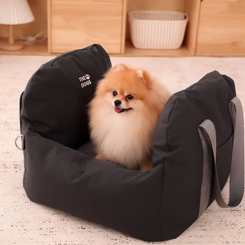 Asiento Primera Clase THE DOGS — Viajes seguros y cómodos